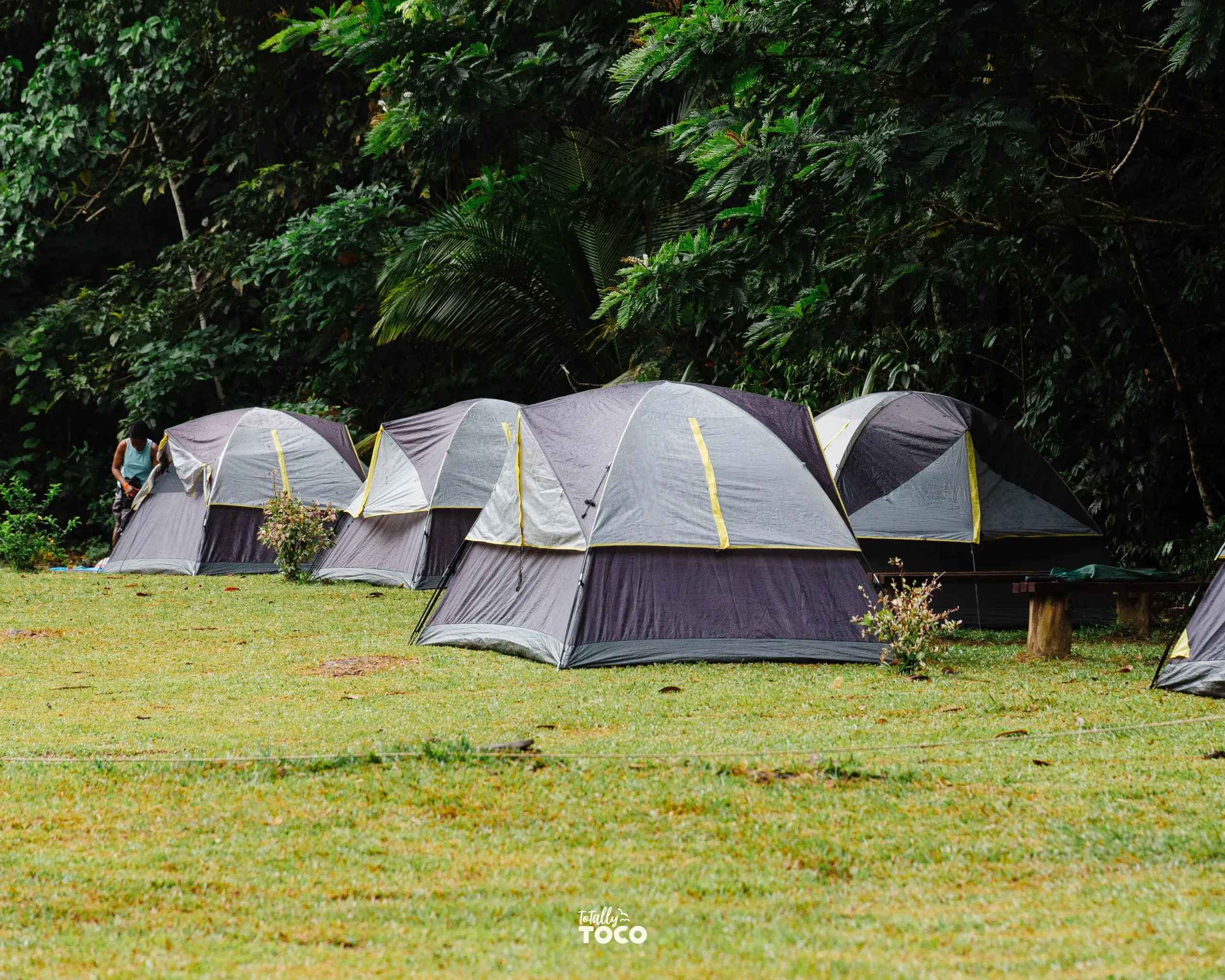 Under the Stars- Camping Experience - Image 2