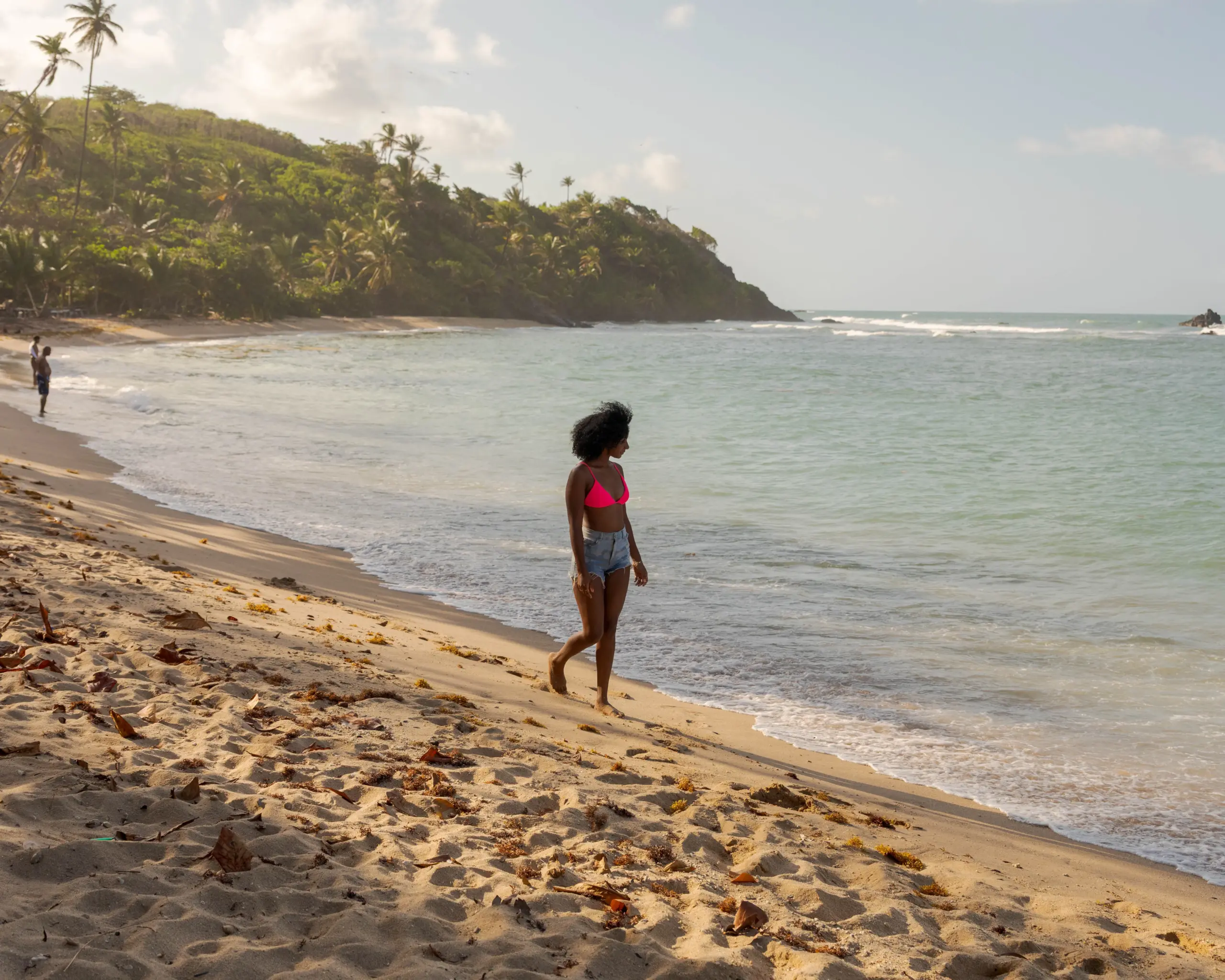 Shoreline Safari- North East Coast Beach Hopping - Image 3